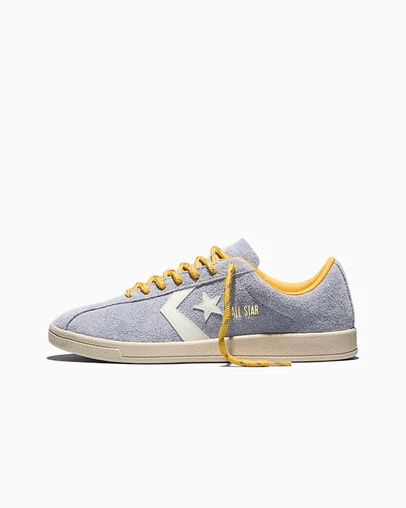 All Star Classic Trainer Suede Thunder Whale Grey/Gold Palm/Egret, Inner Side View