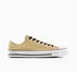 CONS Chuck Taylor All Star Pro Suede Coastal Dune/White/Black