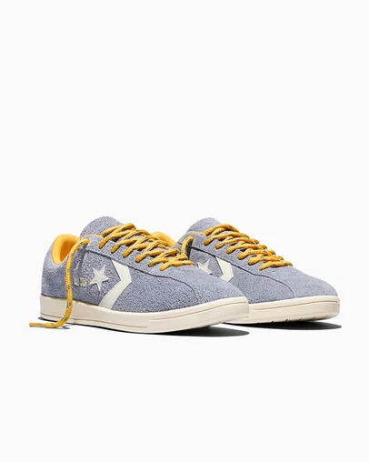 All Star Classic Trainer Suede Thunder Whale Grey/Gold Palm/Egret, Top and Side View