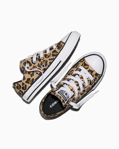 Chuck Taylor All Star Leopard Hay Day/Honey Stick/Black, Angled View