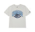 Color Name: Egret