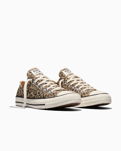 Chuck Taylor All Star Leopard Jacquard Egret/Black/Honey Stick
