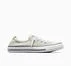 Chuck Taylor All Star Shoreline Canvas Cloud Gray