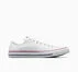 Chuck Taylor All Star Canvas Optical White