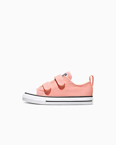 Chuck Taylor All Star Easy-On Canvas All Heat/White/Black, Inner Side View