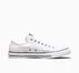 Chuck Taylor All Star Slip On White/Black/White