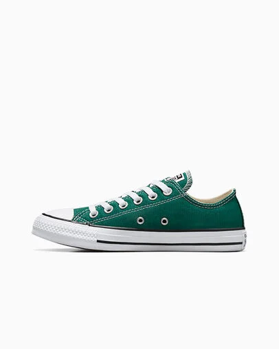 Chuck Taylor All Star Seasonal Color Dragon Scale, Inner Side View