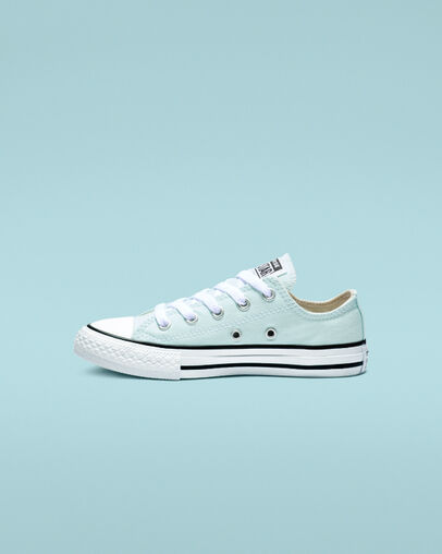 Chuck Taylor All Star Seasonal Low Top Teal Tint/Natural Ivory/White