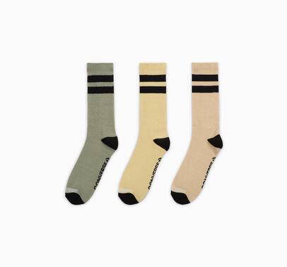 Holiday Stripe Crew S Sock main image 1