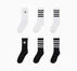 6-Pack All Star Stripe Crew Socks White/Black