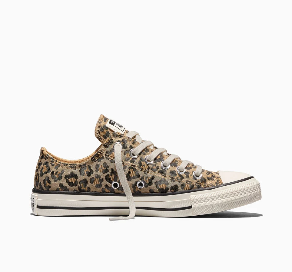 Chuck Taylor All Star Leopard Jacquard Egret/Black/Honey Stick
