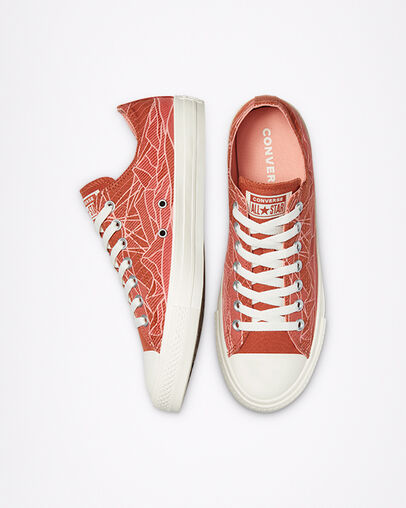 Chuck Taylor All Star Summer Daze Red Bark/Egret/Egret, Top and Side View