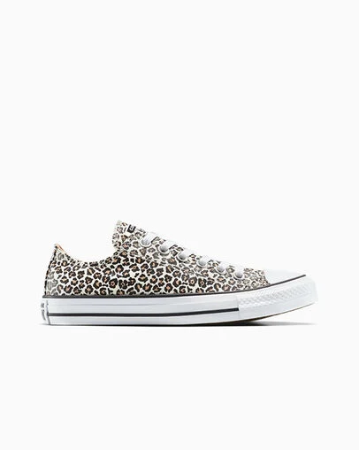 Chuck Taylor All Star Leopard Black/Coastal Dune/Egret, Outer Side View