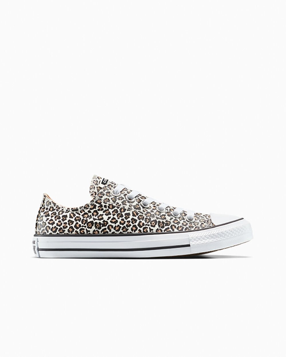 Chuck Taylor All Star Leopard