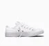 Chuck Taylor All Star White Monochrome