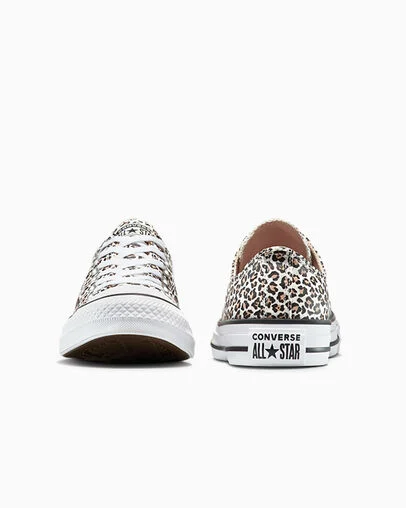 Chuck Taylor All Star Leopard Black/Coastal Dune/Egret, Heel View