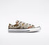 Chuck Taylor All Star Desert Explorer Papiro/Utility
