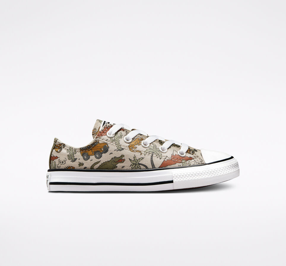 Chuck Taylor All Star Desert Explorer Papiro/Utility