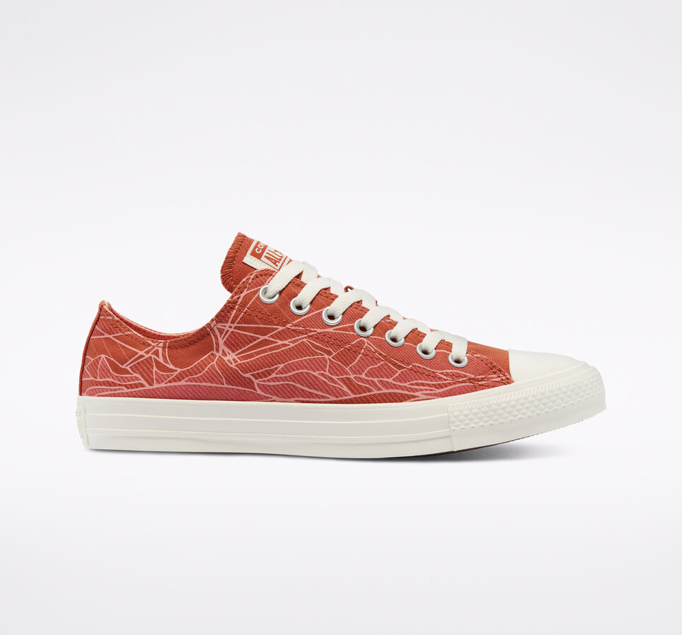 Chuck Taylor All Star Summer Daze Red Bark/Egret/Egret