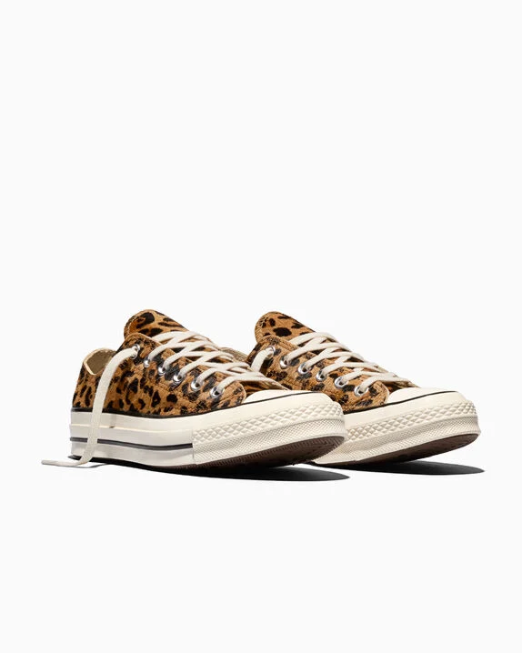 Chuck 70 Leopard-Print Pony Hair Brown/Honey Stick/Egret
