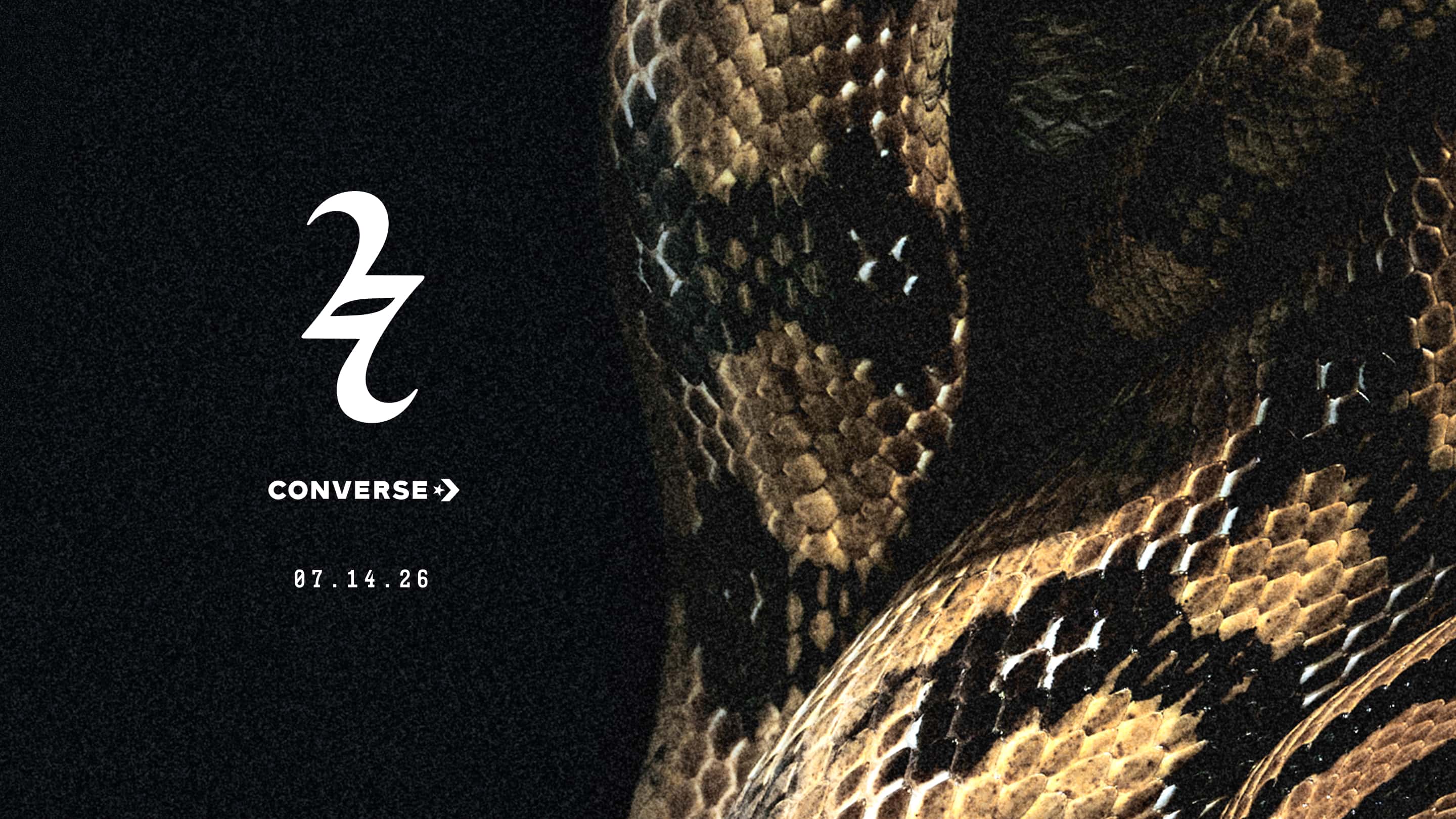 Shai Slither