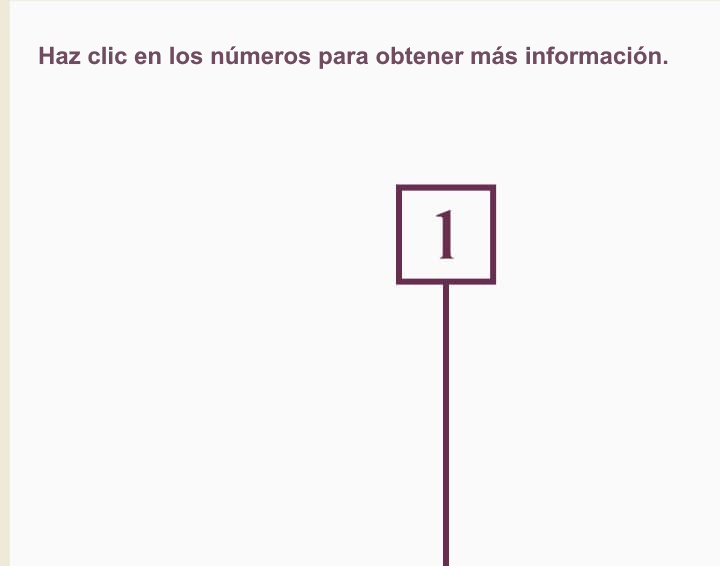 Haz clic en el 1 para obtener más información sobre el talón