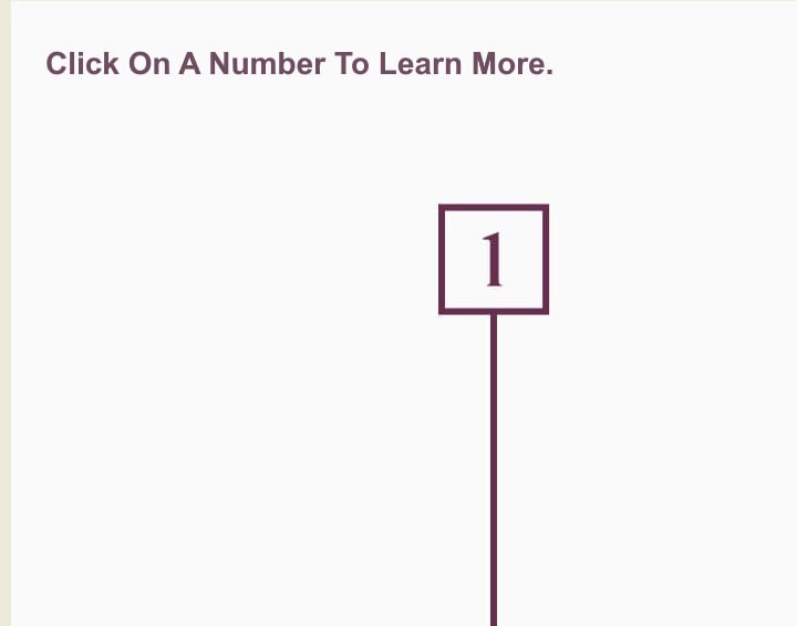 Click one to learn more about the Heelstay