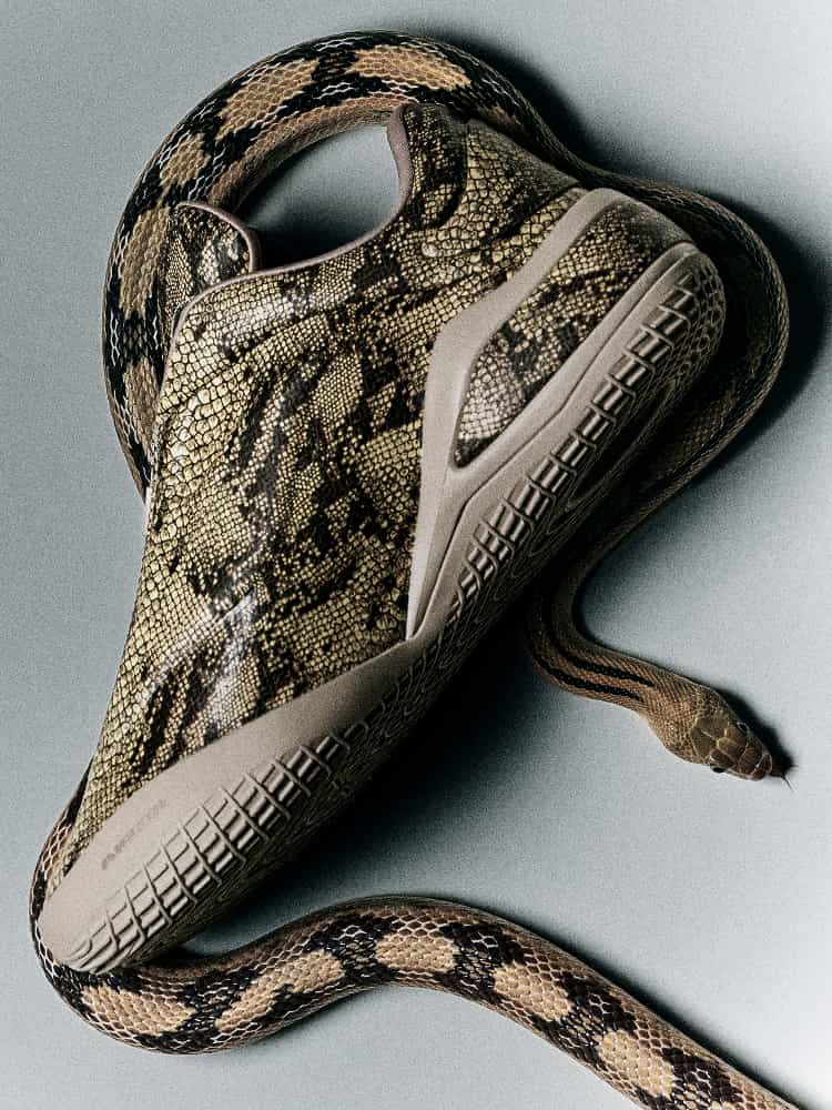 Shai Slither
