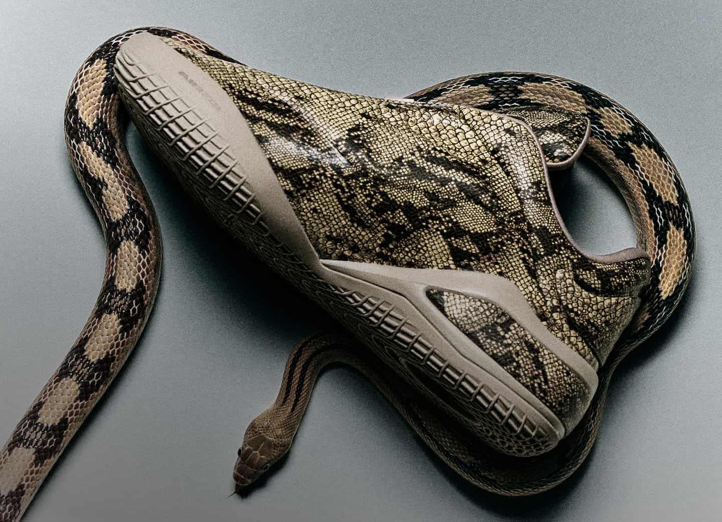 Shai Slither