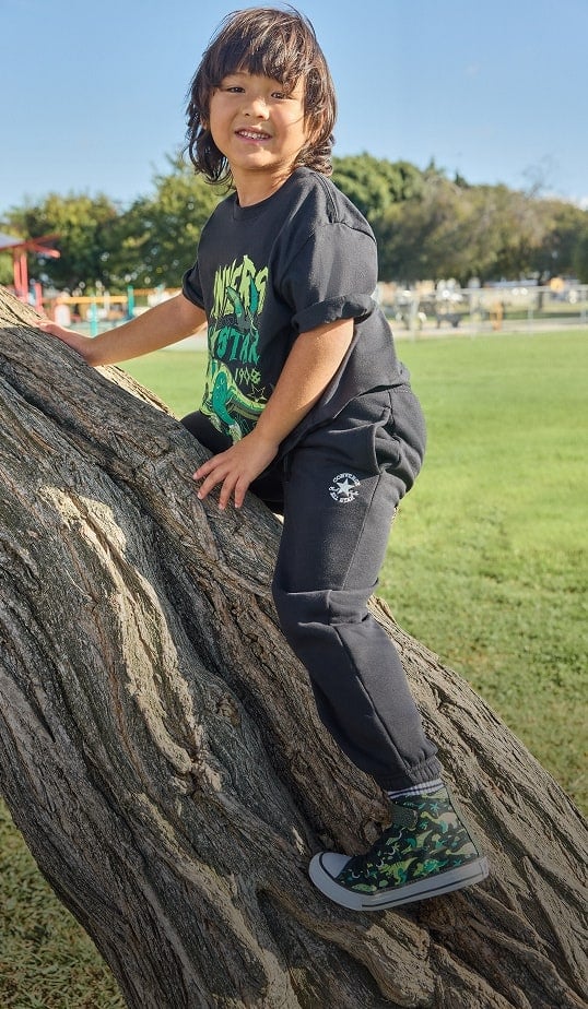 Kids Dino Collection