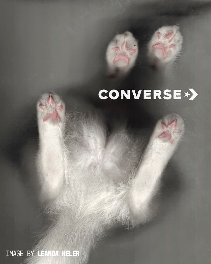 This image humorously mimics the Converse logo by showing a cat’s pink paw pads pressed against glass, resembling the brand’s signature star design.