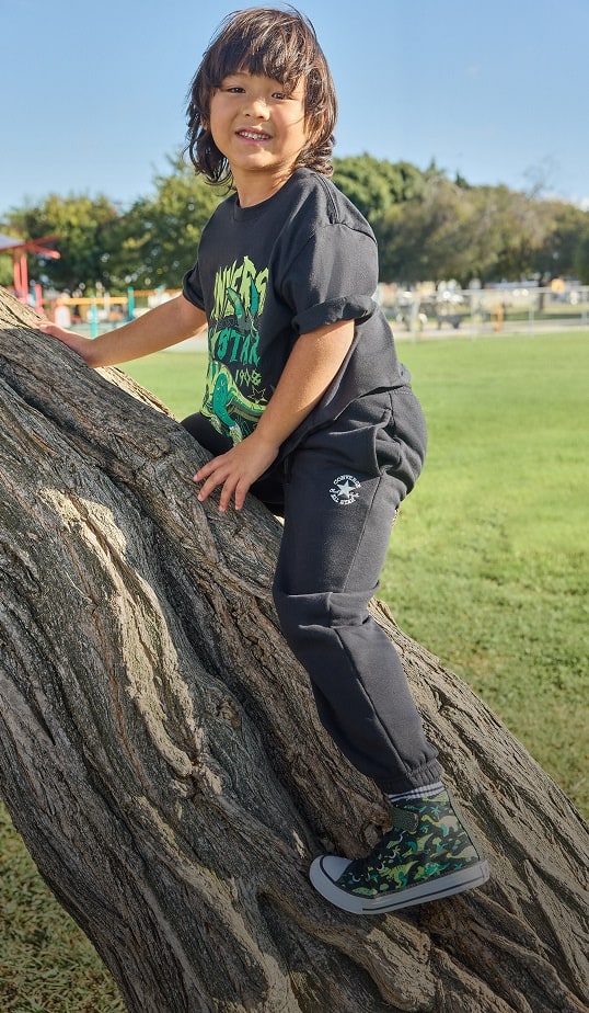 Kids Dino Collection