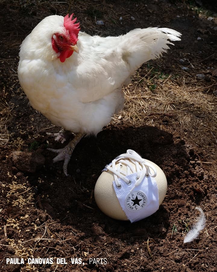 A white chicken stands on dirt next to a large egg partially covered by a small white Converse All Star sneaker, creating a playful and surreal scene.