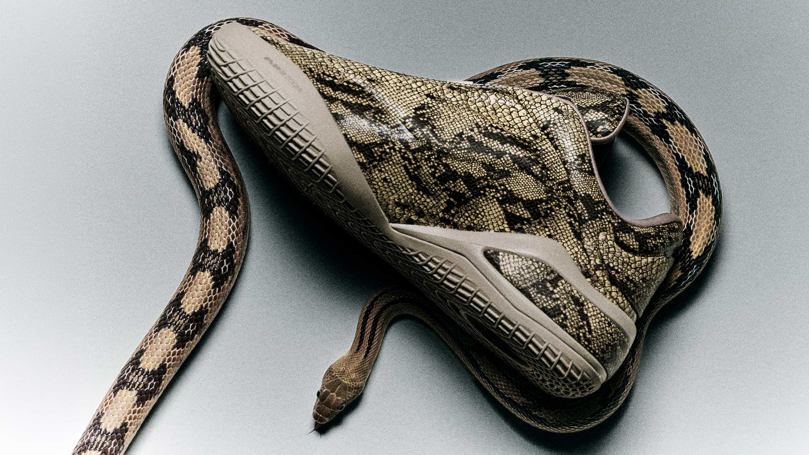 SHAI 001 by Shai Gilgeous-Alexander | Converse US. Converse.com