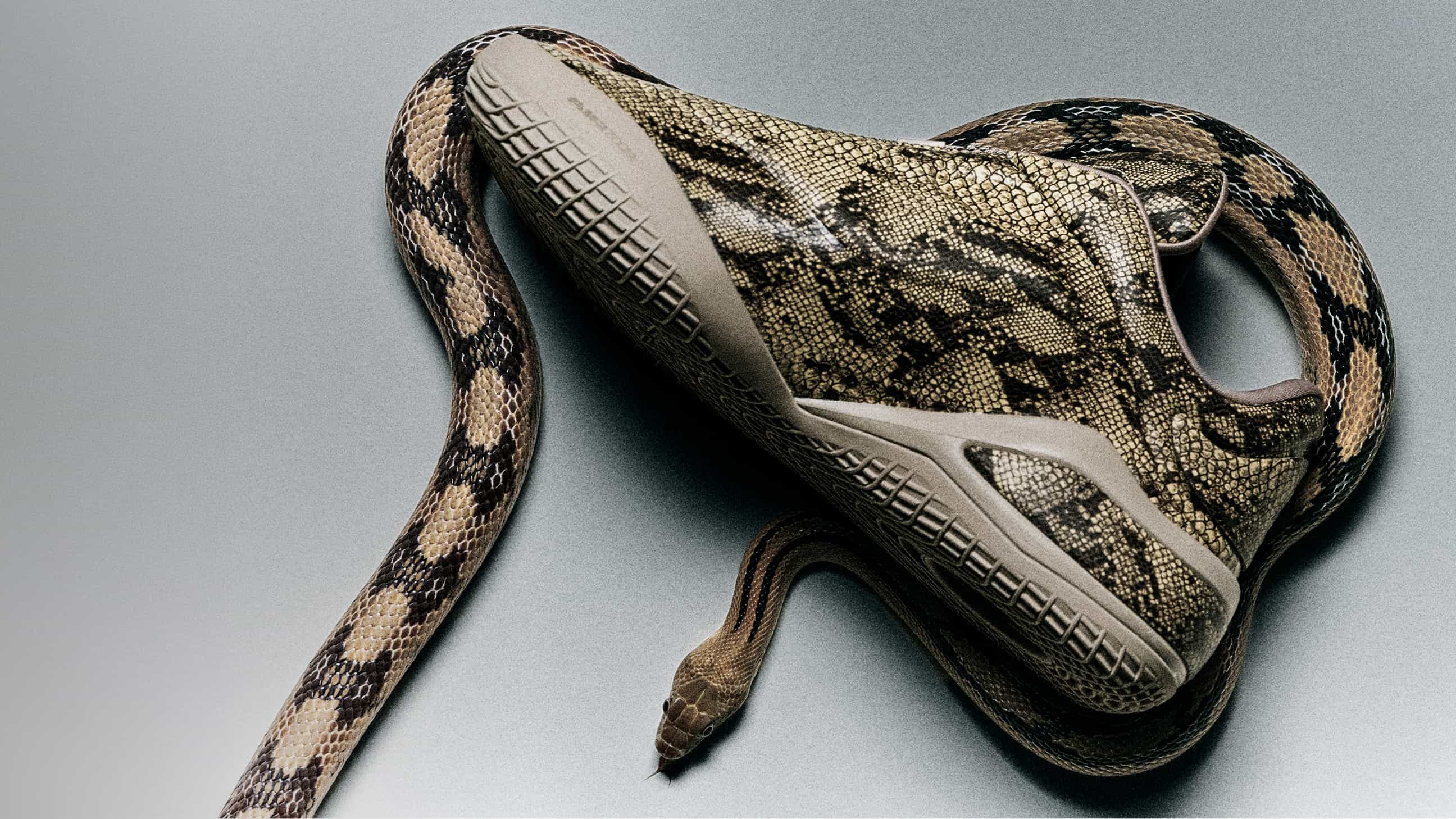 Shai Slither